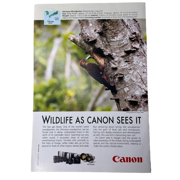 2015 Wildlife As Canon Sees It Print Ad Full Page Original u - Picture 1 of 6